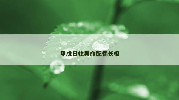 甲戌日柱男命配偶長相