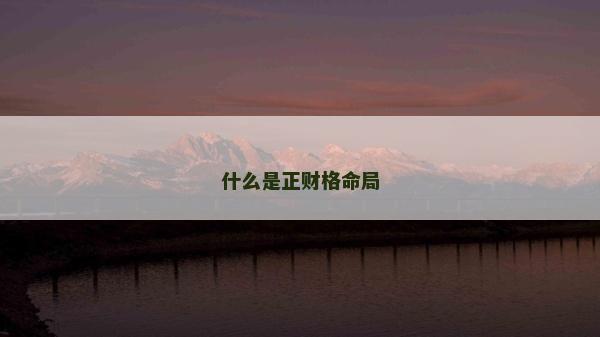 什么是正財格命局