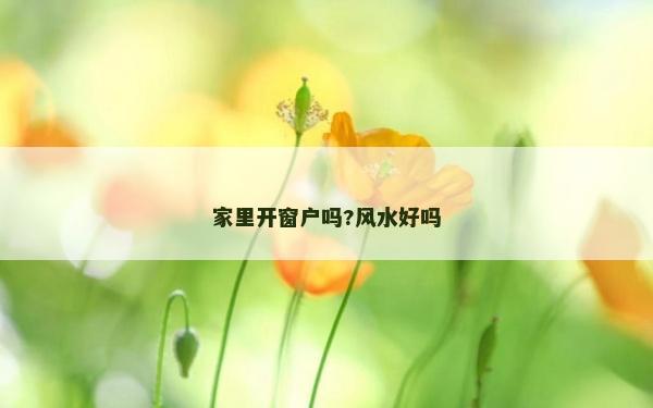 家里開窗戶嗎?風(fēng)水好嗎