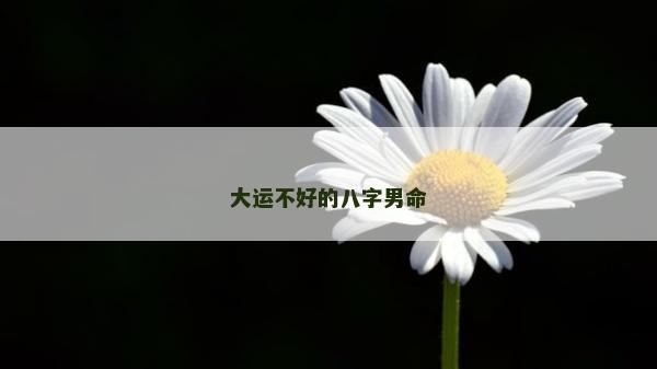 大運不好的八字男命