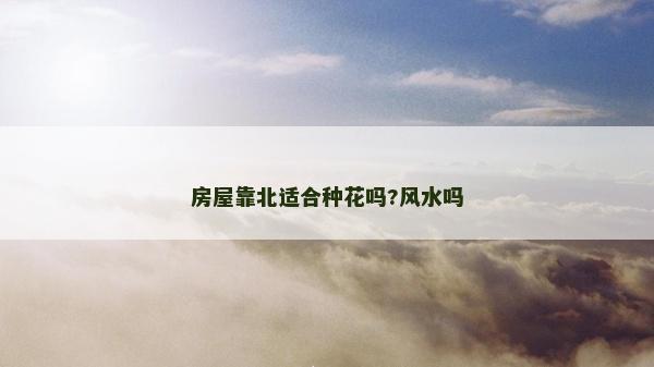 房屋靠北適合種花嗎?風水嗎