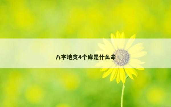 八字地支4個(gè)庫(kù)是什么命