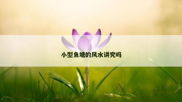小型魚塘的風水講究嗎