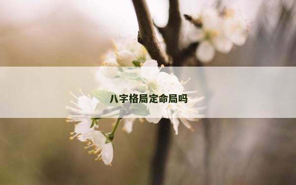八字格局定命局嗎
