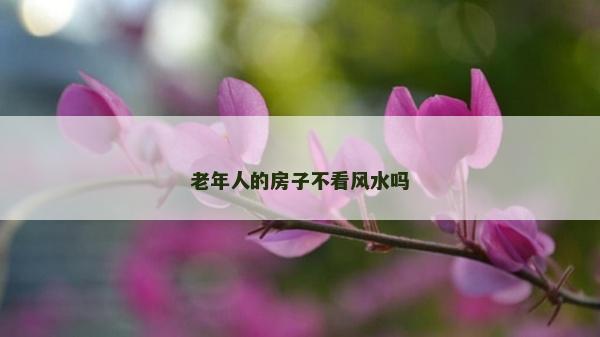 老年人的房子不看風水嗎