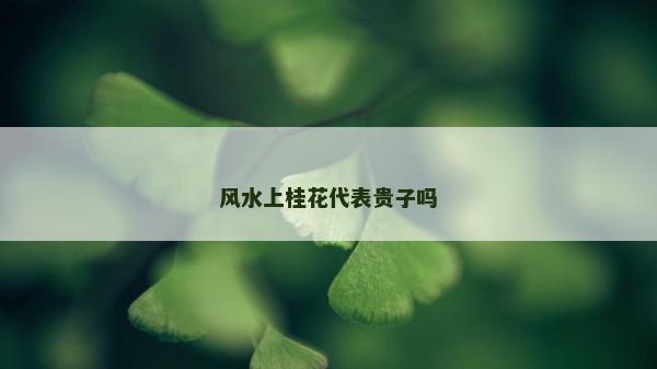 風水上桂花代表貴子嗎