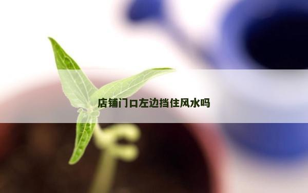店鋪門口左邊擋住風水嗎