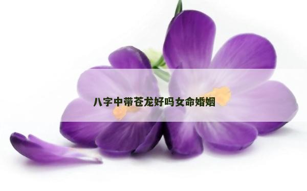 八字中帶蒼龍好嗎女命婚姻