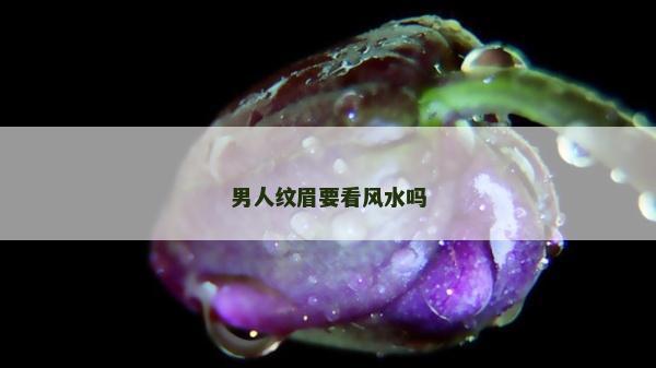 男人紋眉要看風(fēng)水嗎