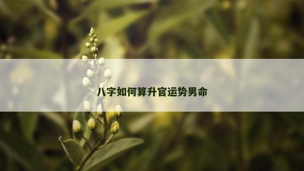 八字如何算升官運(yùn)勢(shì)男命