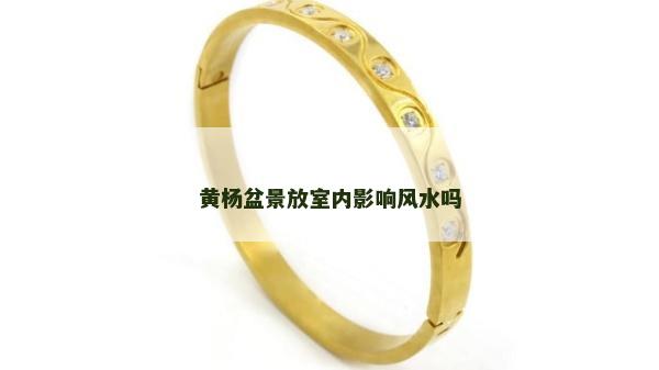 黃楊盆景放室內影響風水嗎
