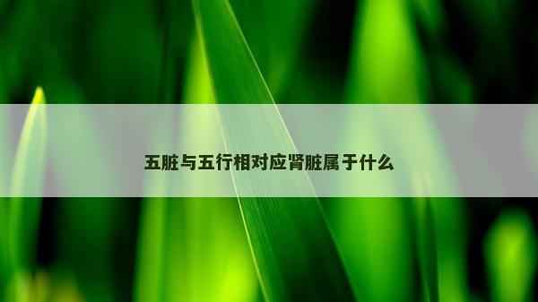 五臟與五行相對應腎臟屬于什么