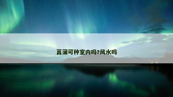 菖蒲可種室內嗎?風水嗎