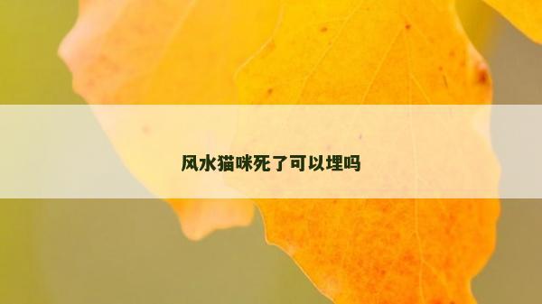 風水貓咪死了可以埋嗎