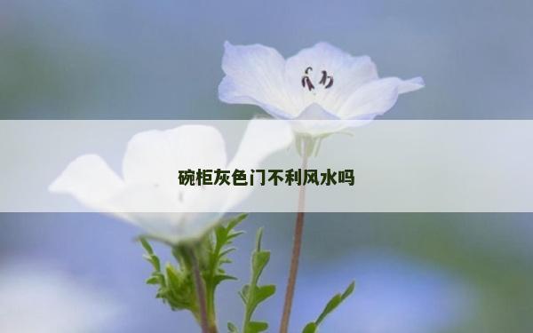 碗柜灰色門不利風水嗎