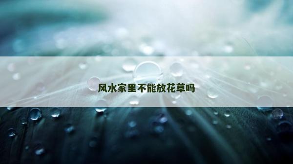 風水家里不能放花草嗎