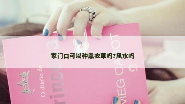 家門(mén)口可以種熏衣草嗎?風(fēng)水嗎