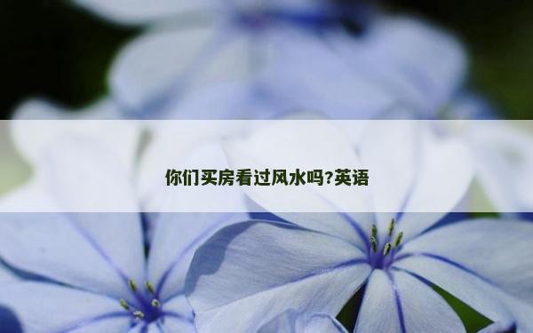 你們買房看過風(fēng)水嗎?英語