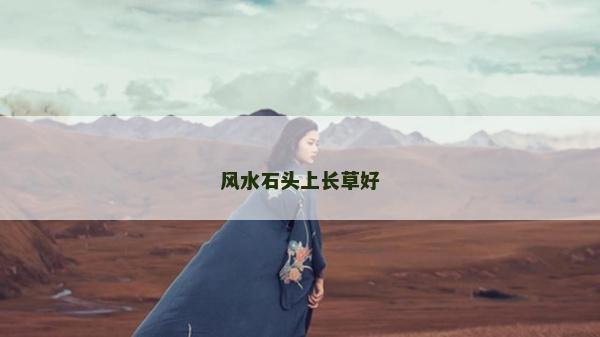 風水石頭上長草好