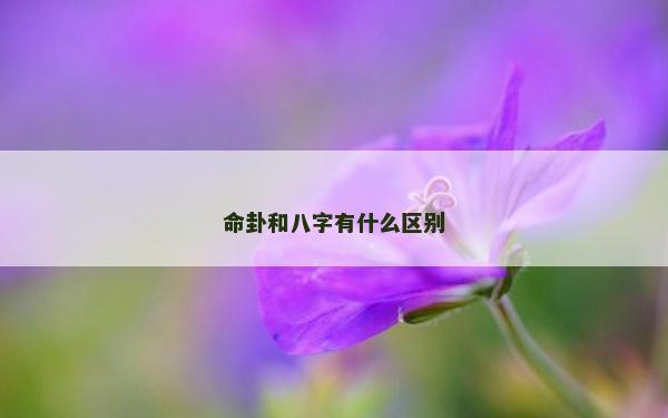 命卦和八字有什么區別