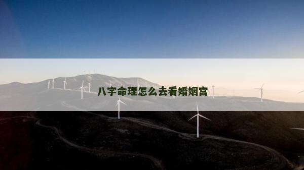 八字命理怎么去看婚姻宮