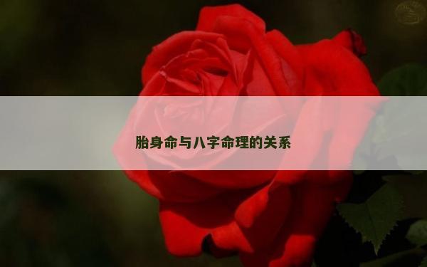 胎身命與八字命理的關系
