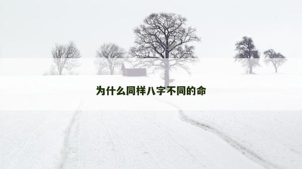 為什么同樣八字不同的命