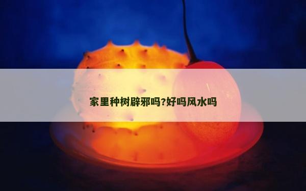 家里種樹辟邪嗎?好嗎風(fēng)水嗎 家里種樹辟邪嗎?好嗎風(fēng)水嗎