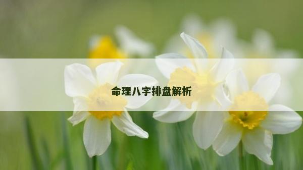 命理八字排盤解析