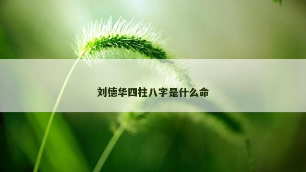 劉德華四柱八字是什么命 劉德華四柱八字是什么命