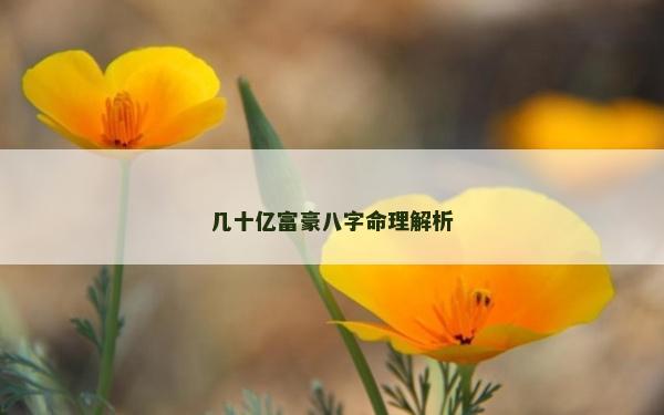 幾十億富豪八字命理解析