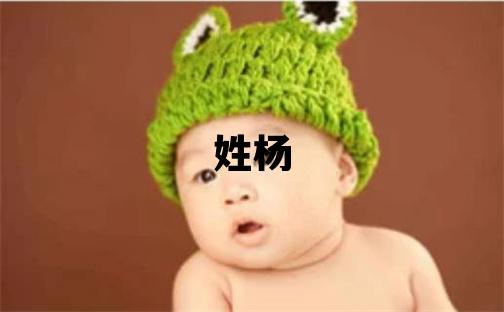 姓楊叫什么名字好 姓楊的女孩有新意的名字