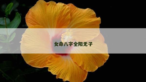 女命八字全陽無子 女命八字全陽無子