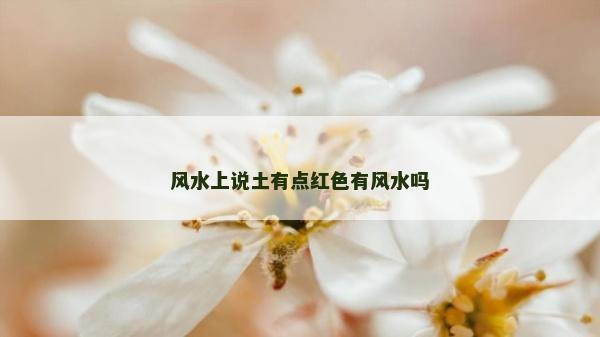 風水上說土有點紅色有風水嗎