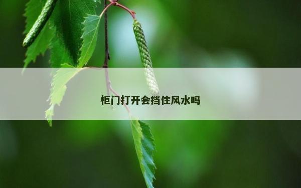 柜門打開會(huì)擋住風(fēng)水嗎