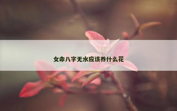 女命八字無水應該養什么花 女命八字無水應該養什么花