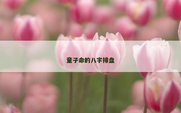 童子命的八字排盤