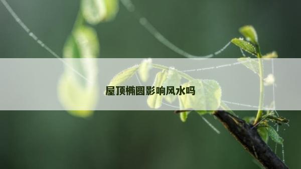 屋頂橢圓影響風水嗎 屋頂橢圓影響風水嗎