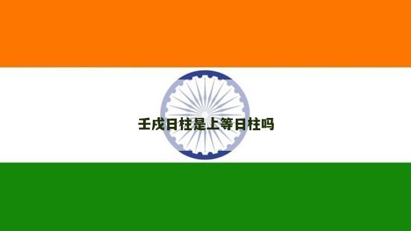 壬戌日柱是上等日柱嗎