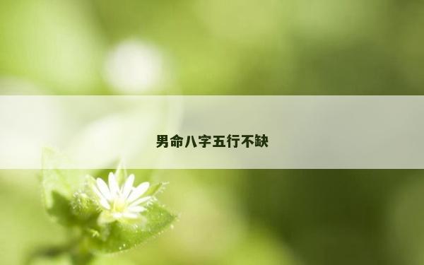 男命八字五行不缺 男命八字五行不缺