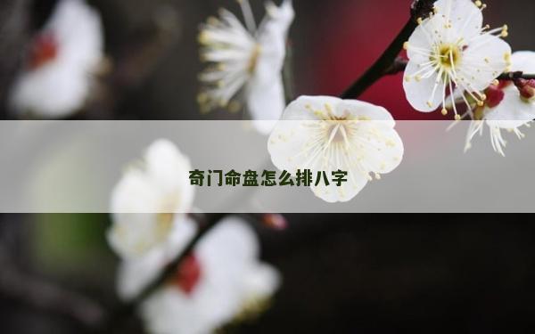 奇門命盤怎么排八字