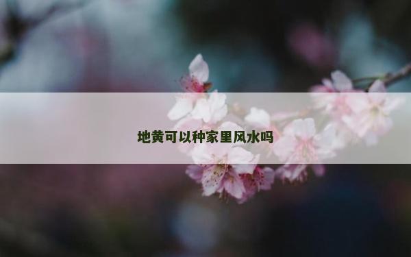 地黃可以種家里風水嗎