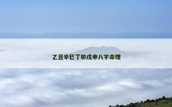 乙丑辛巳丁卯戊申八字命理 乙丑辛巳丁卯戊申八字命理