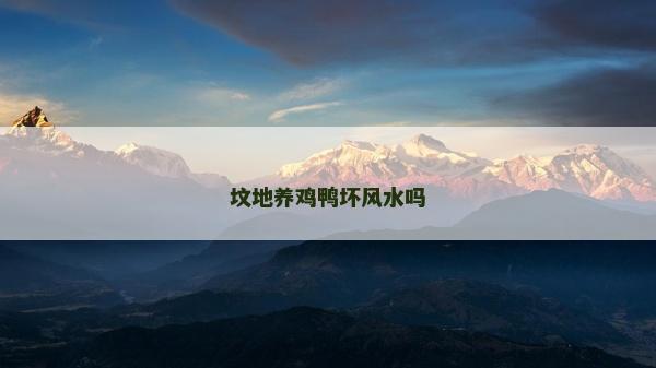 墳地養(yǎng)雞鴨壞風(fēng)水嗎