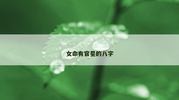 女命有官星的八字