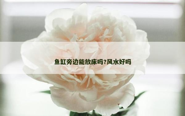 魚缸旁邊能放床嗎?風水好嗎