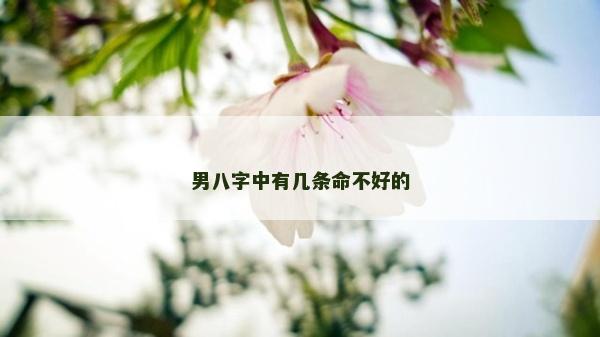 男八字中有幾條命不好的