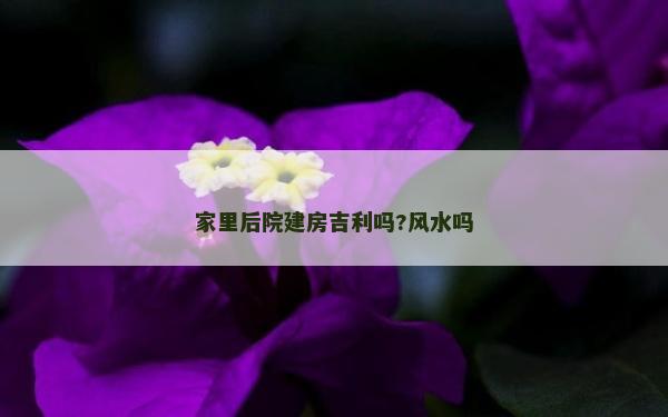 家里后院建房吉利嗎?風水嗎