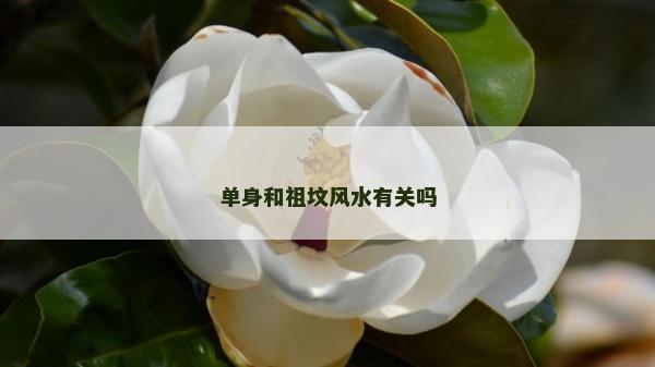 單身和祖墳風水有關嗎