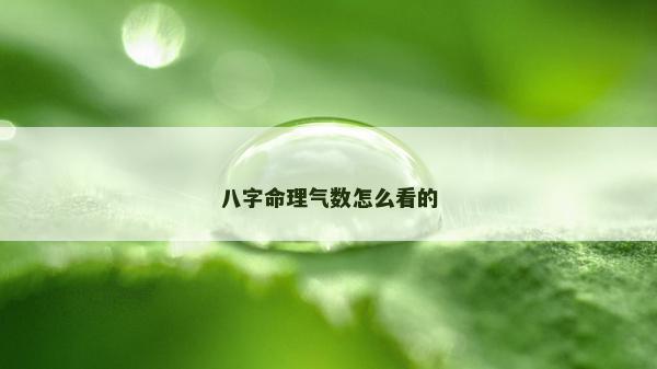 八字命理氣數(shù)怎么看的